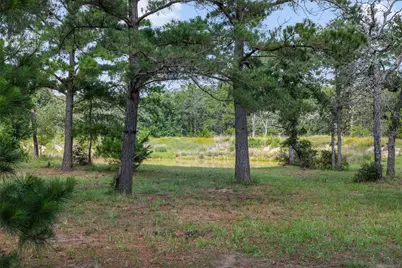 305 Cistern Road, Rosanky, TX 78953 - Photo 6