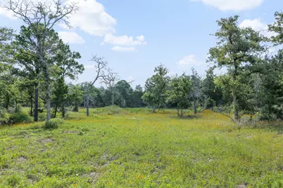 305 Cistern Road, Rosanky, TX 78953 - Photo 4