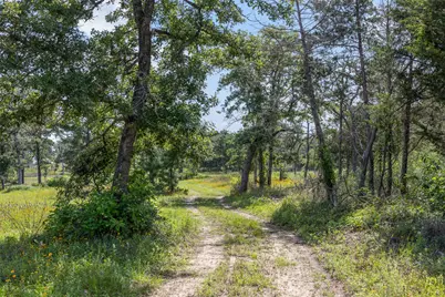 305 Cistern Road, Rosanky, TX 78953 - Photo 2