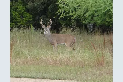 424 Coventry  (Lot  234) Road, Spicewood, TX 78669 - Photo 18