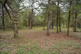 247 Campfire Way, Smithville, TX 78957 - Photo 38