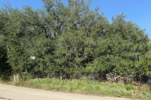 4209 Rockwood Dr, Lago Vista, TX 78645 - Photo 1