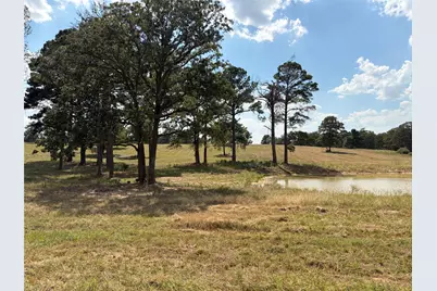 170 Split Oak Road, Smithville, TX 78957 - Photo 10
