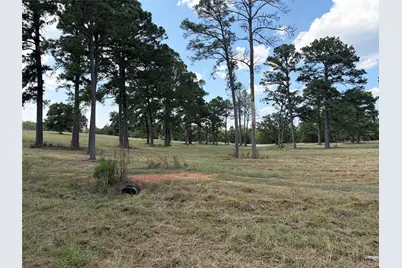 170 Split Oak Road, Smithville, TX 78957 - Photo 12