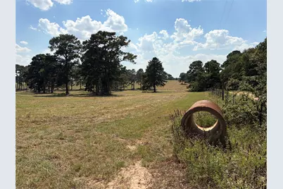170 Split Oak Road, Smithville, TX 78957 - Photo 8