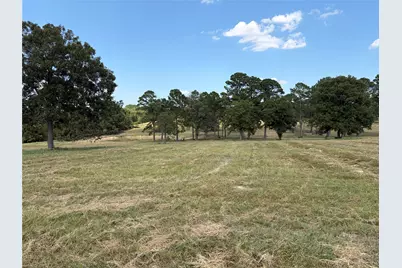 170 Split Oak Road, Smithville, TX 78957 - Photo 16