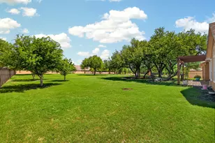 163 Estrella Crossing, Georgetown, TX 78628 - Photo 38