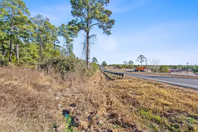 Lot 65 State Highway 21, Bastrop, TX 78602 - Photo 4