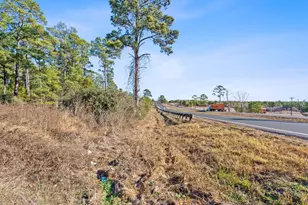 Lot 65 State Hwy 21, Bastrop, TX 78602 - Photo 4