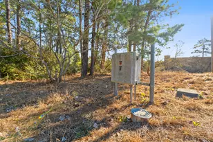 Lot 65 State Hwy 21, Bastrop, TX 78602 - Photo 10