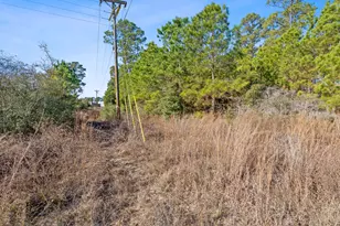 Lot 65 State Hwy 21, Bastrop, TX 78602 - Photo 12