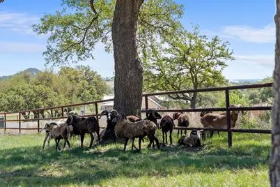 283 Soaring Eagles Drive, Fredericksburg, TX 78624 - Photo 6
