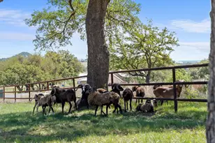 283 Soaring Eagles Dr, Fredericksburg, TX 78624 - Photo 6