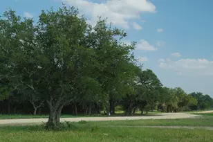 Tbd Lot 5 County Rd 210, Bertram, TX 78605 - Photo 16