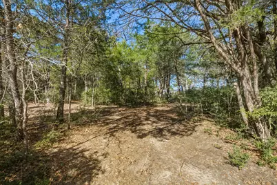 171 Mustang Drive, Paige, TX 78659 - Photo 36