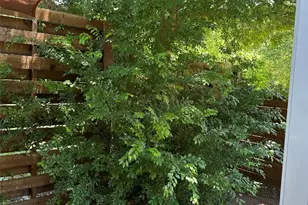 4503 Clawson Rd, Austin, TX 78745 - Photo 10