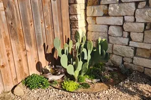 441 Mistflower Springs Dr, Leander, TX 78641 - Photo 22