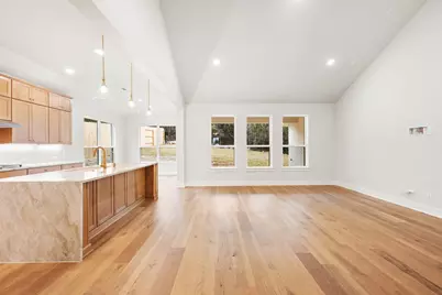 325 Knockout Rose Drive, San Marcos, TX 78666 - Photo 10