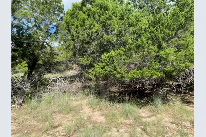 21105 Santa Rosa Avenue, Lago Vista, TX 78645 - Photo 8