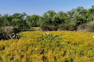 204 Lagitos Ln, Llano, TX 78643 - Photo 32