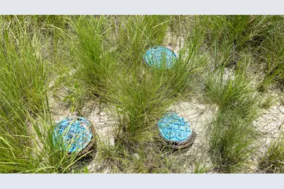 34705 Mayer Oaks, Bulverde, TX 78163 - Photo 16