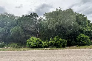 1684 Westview Ct Dr, Canyon Lake, TX 78133 - Photo 1