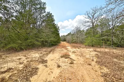 109 Crepe Myrtle Road, Bastrop, TX 78602 - Photo 4