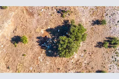 199 Flat Rock Way, Johnson City, TX 78636 - Photo 24