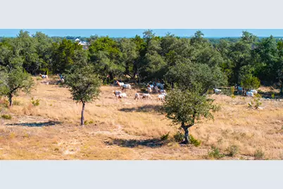 199 Flat Rock Way, Johnson City, TX 78636 - Photo 12