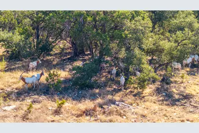 199 Flat Rock Way, Johnson City, TX 78636 - Photo 20