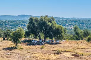 199 Flat Rock Way, Johnson City, TX 78636 - Photo 1