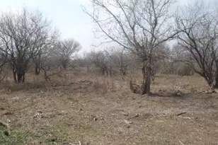 1580 Pooley Rd, Kingsbury, TX 78638 - Photo 8