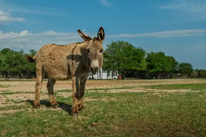 1185 County Road 258, Bertram, TX 78605 - Photo 26