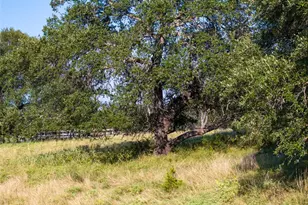 000 Cr 121 Rd, Oakalla, TX 76549 - Photo 14