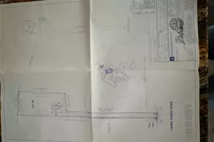 219 Young Ranch Rd, Georgetown, TX 78633 - Photo 40