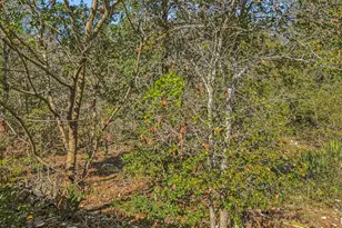 3908 Holt Dr, Austin, TX 78749 - Photo 20