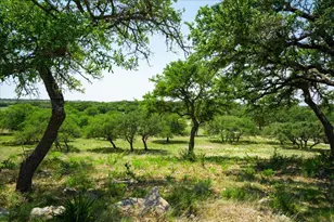 101 Mystic Overlook Dr, Dripping Springs, TX 78620 - Photo 1