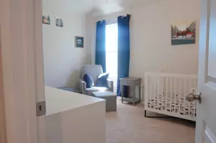 153 Blue Agate Ct, Jarrell, TX 76537 - Photo 14