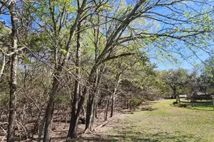 200 Little Barton Dr, Dripping Springs, TX 78620 - Photo 34