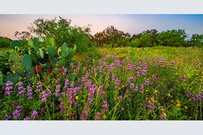 9738 E Fm 1431, Marble Falls, TX 78654 - Photo 30