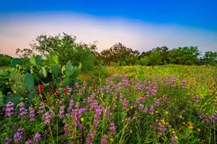 9738 E Fm 1431, Marble Falls, TX 78654 - Photo 30