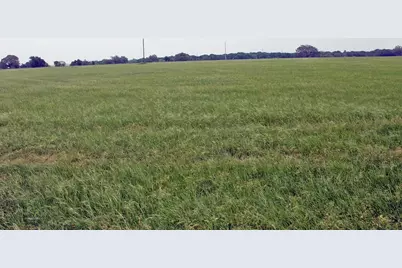 00 Brushy Branch Road, Lockhart, TX 78644 - Photo 12