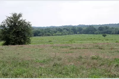 00 Brushy Branch Road, Lockhart, TX 78644 - Photo 8