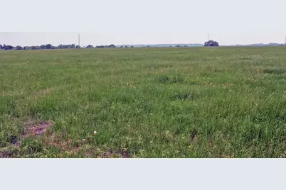 00 Brushy Branch Road, Lockhart, TX 78644 - Photo 4