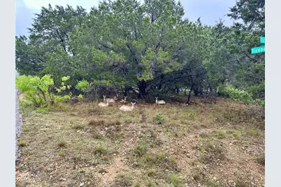 2907 Ticonderoga Cove, Lago Vista, TX 78645 - Photo 8