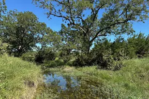 Unk 114Ac Cr 330, Bertram, TX 78605 - Photo 6