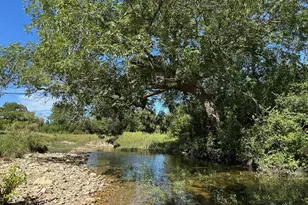 Unk 114Ac Cr 330, Bertram, TX 78605 - Photo 8