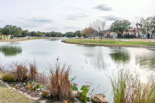 3544 De Soto Loop, Round Rock, TX 78665 - Photo 40