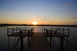 3544 De Soto Loop, Round Rock, TX 78665 - Photo 2