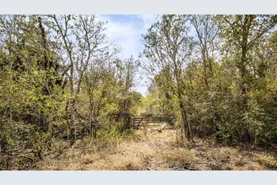 Tbd Dale Lane, Dale, TX 78616 - Photo 8
